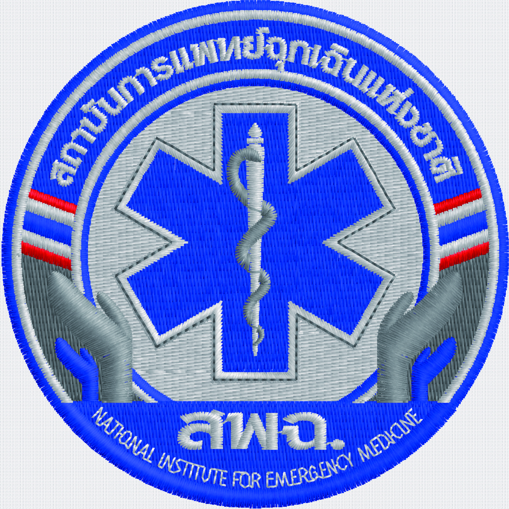 National Institute for Emergency Medicine Emblem — 3 Sizes